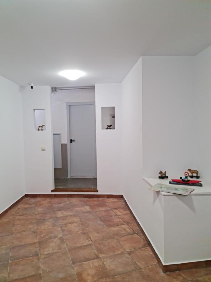 Apartamento Ca la Núria La Seu d'Urgell Exterior foto